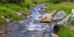 Mountain stream flowing sound , 6 sounds