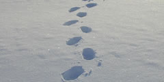 Snow footsteps sound , 9 sounds